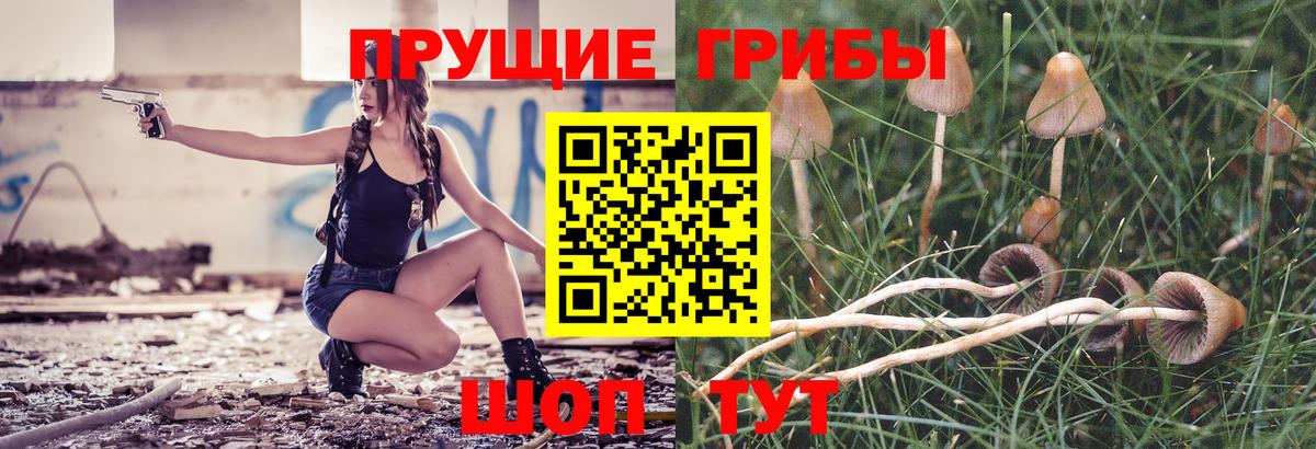 Котовск  Псилоцибиновые грибы GOLDEN TEACHER  Галлюциногенные грибы GOLDEN TEACHER  Вход с VPN 